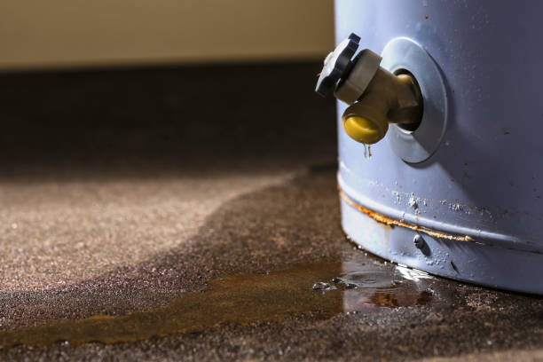 Best Local water damage restoration  in Westbury, NY