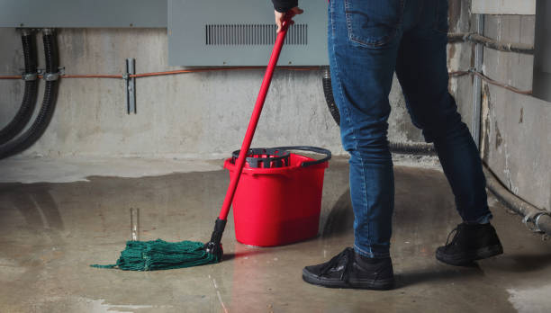 Best Carpet water damage restoration  in Westbury, NY
