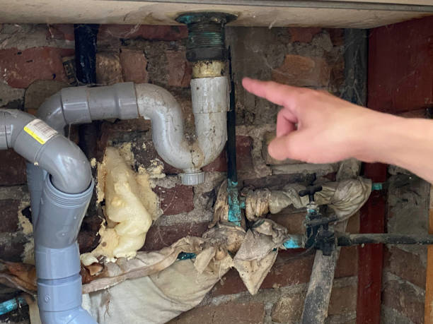 Best Flooded house restoration  in Westbury, NY